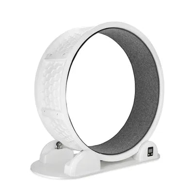 Roue d’exercice Modern Living Singapore pour chat