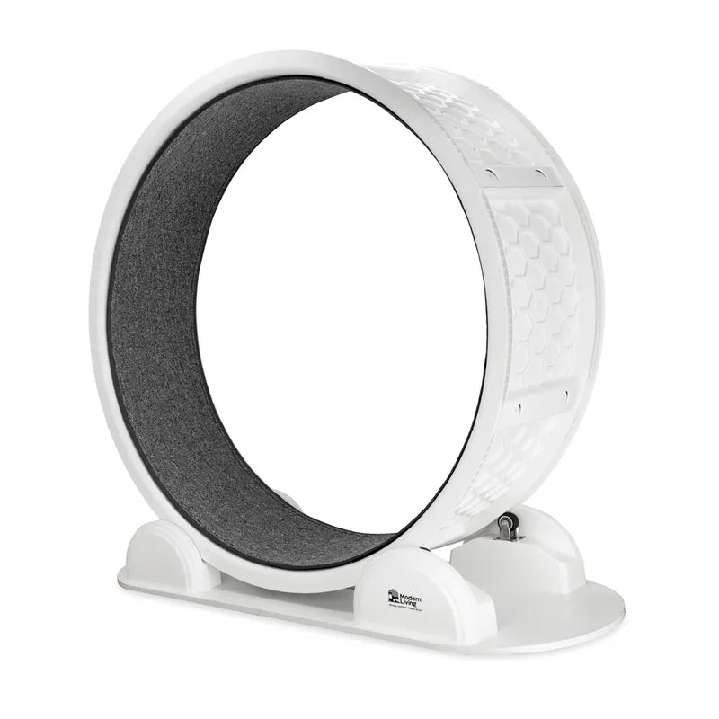 Roue d’exercice Modern Living Singapore pour chat